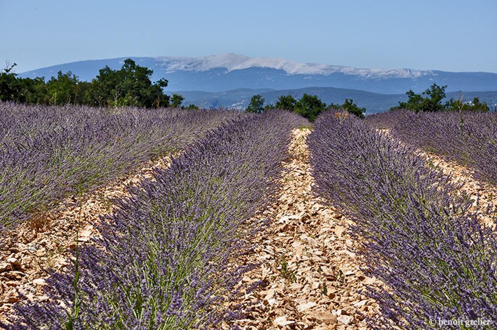 فندق Domaine Les Chenes Blancs سا سيتيورنا دابت المظهر الخارجي الصورة