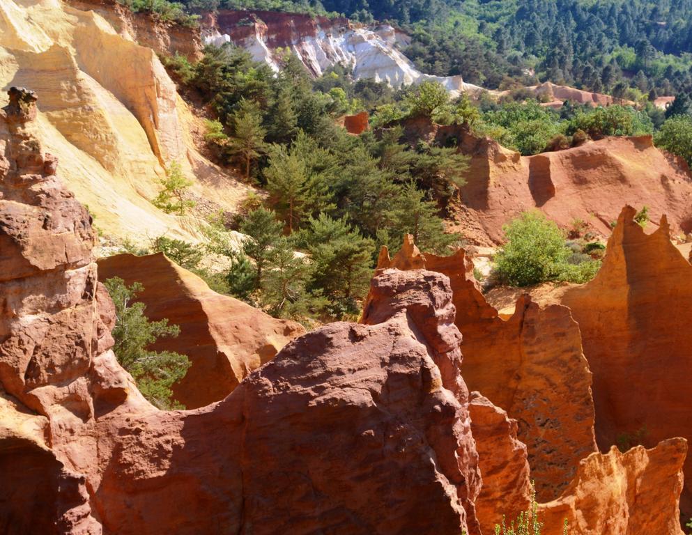 فندق Domaine Les Chenes Blancs سا سيتيورنا دابت المظهر الخارجي الصورة